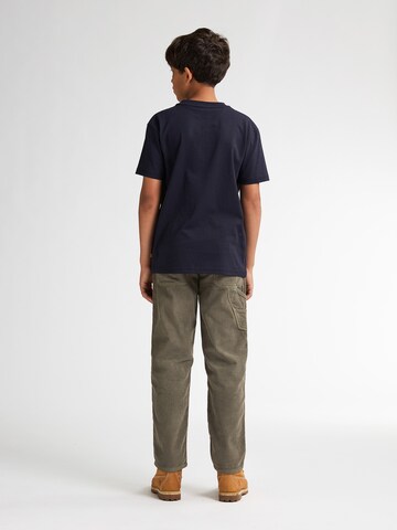 Petrol Industries Regular Pants in Green