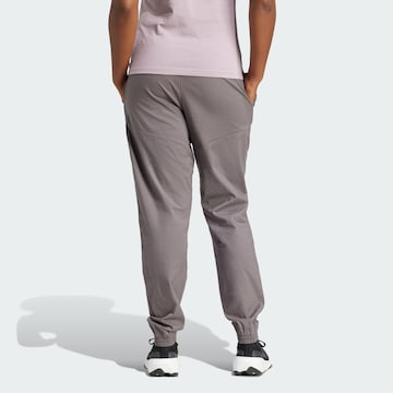 Loosefit Pantalon outdoor ADIDAS TERREX en gris