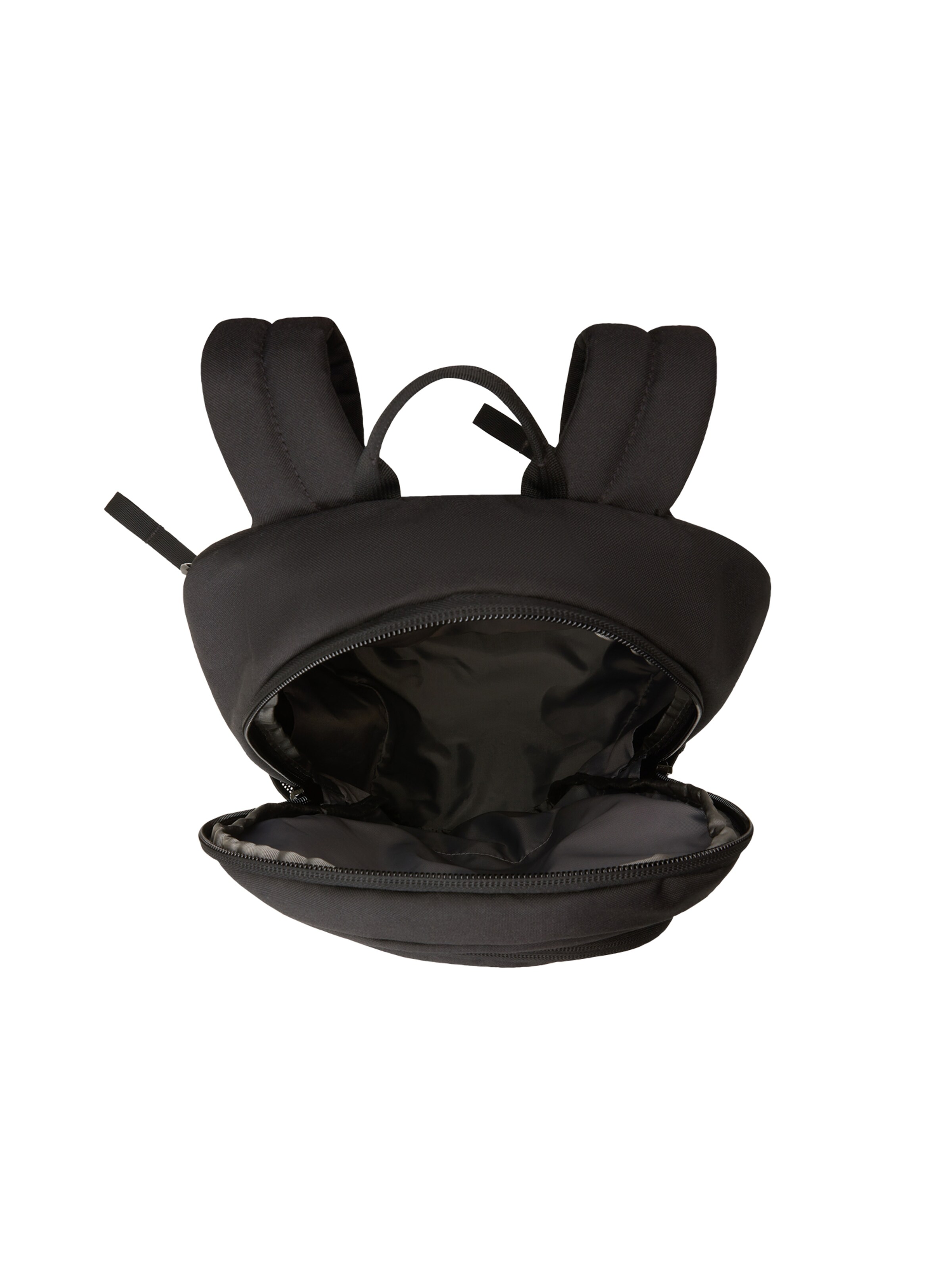 THE NORTH FACE Rygsæk 'RODEY' i sort