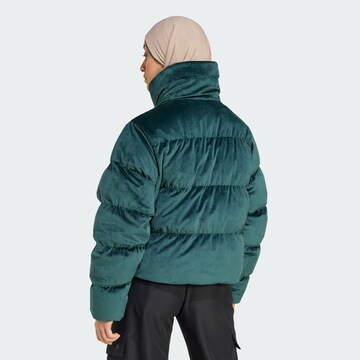ADIDAS ORIGINALS Зимняя куртка в Зеленый