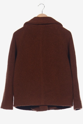 DRYKORN Jacket & Coat in M in Brown