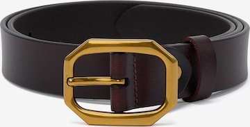 jolar Belt 'ELEGENT GOLD' in Brown: front