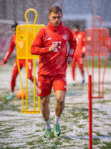 FC BAYERN MÜNCHEN Regular Pro Trainingsshort Teamline 'FC Bayern München' in Rot: predná strana