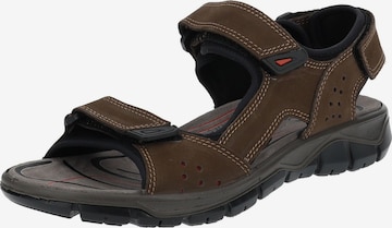 IMAC Hiking Sandals in Brown: front