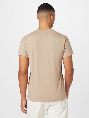 T-Shirt HOLLISTER en marron