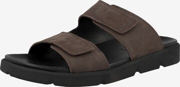 GEOX Mules 'Xand' in Brown: front