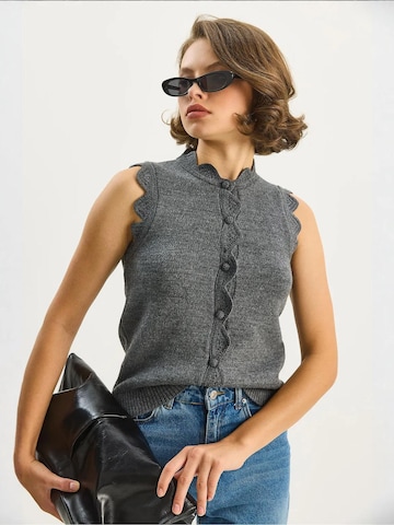 Bianco Lucci Gebreide bodywarmer in Grijs