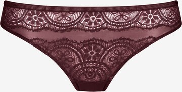 Slip Mey en violet : devant