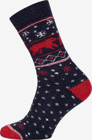 HomeOfSocks Socks 'HOS454' in Blue: front