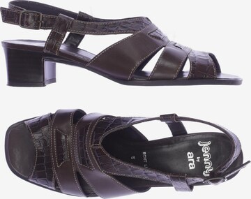 ARA Sandals & High-Heeled Sandals in 38 in Brown: front