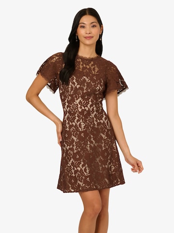 Adrianna Papell Cocktail Dress 'Lace' in Brown: front