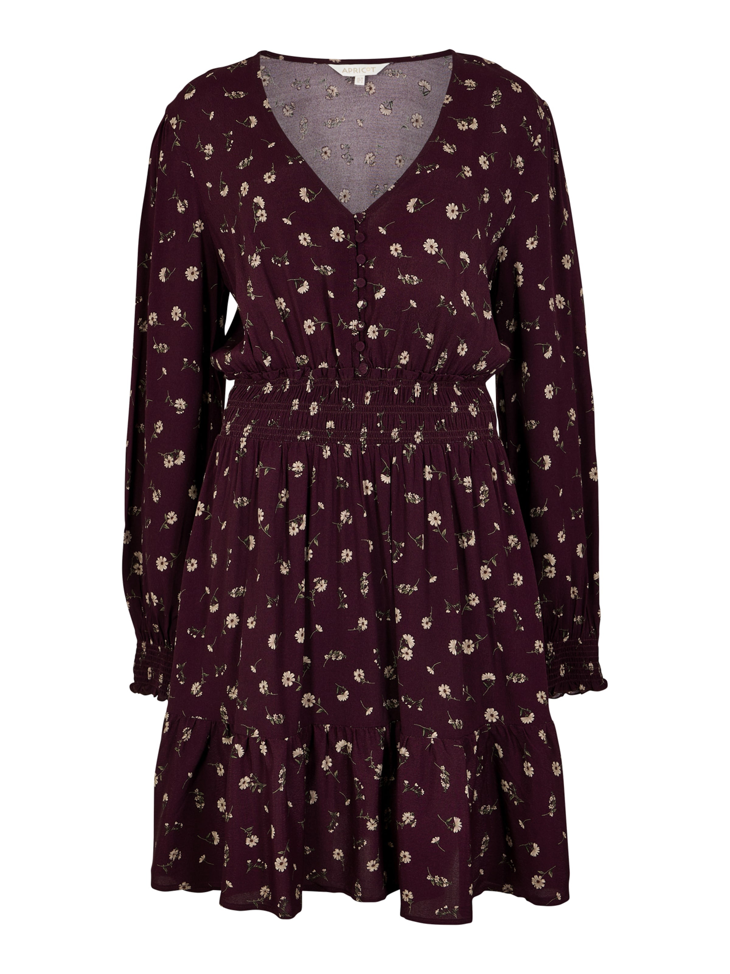 Apricot Vintage Floral Crepe Mini Dress ' ' in Rot: Vorderseite