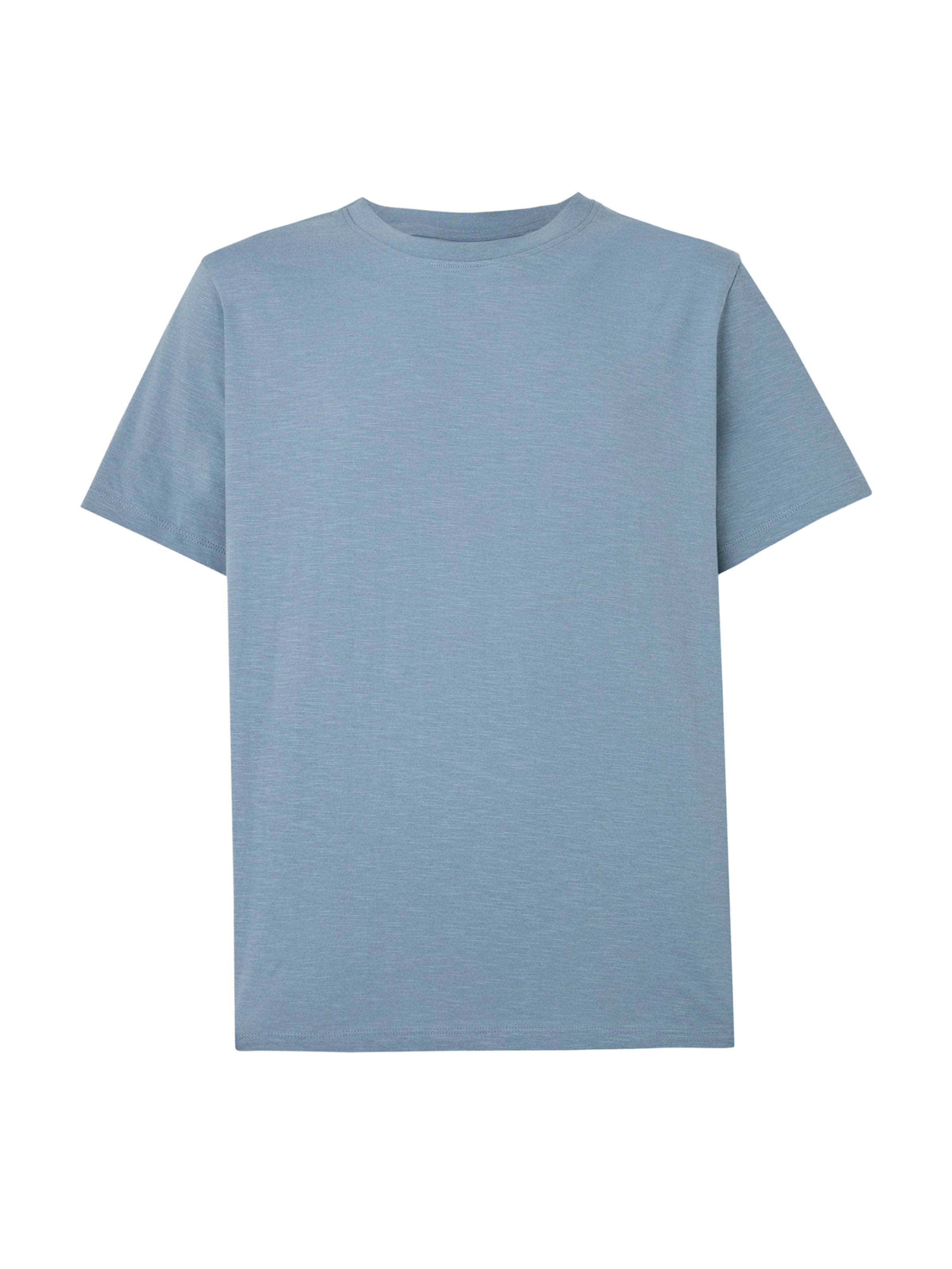 SELECTED T-Shirt 'SLHASPEN ' en bleu-gris, Vue avec produit