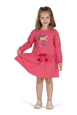 SALT AND PEPPER Kleid 'Star Stable' in Pink: Vorderseite