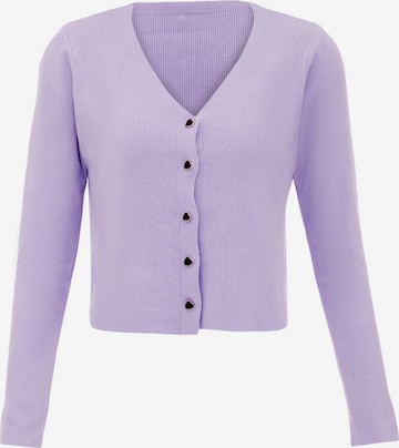 IMMY Knit Cardigan in Purple: front