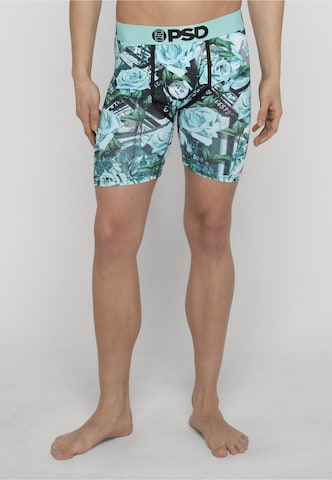 Boxer di PSD in colori misti: frontale