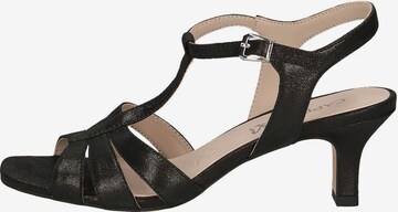 CAPRICE Strap Sandals in Black