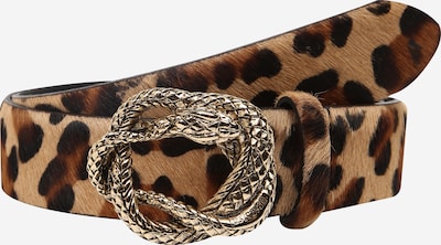Just Cavalli Belt in Brown / Light brown / Dark brown, Item view