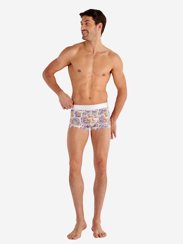 HOM Boxershorts ' Funky Styles ' in Lila