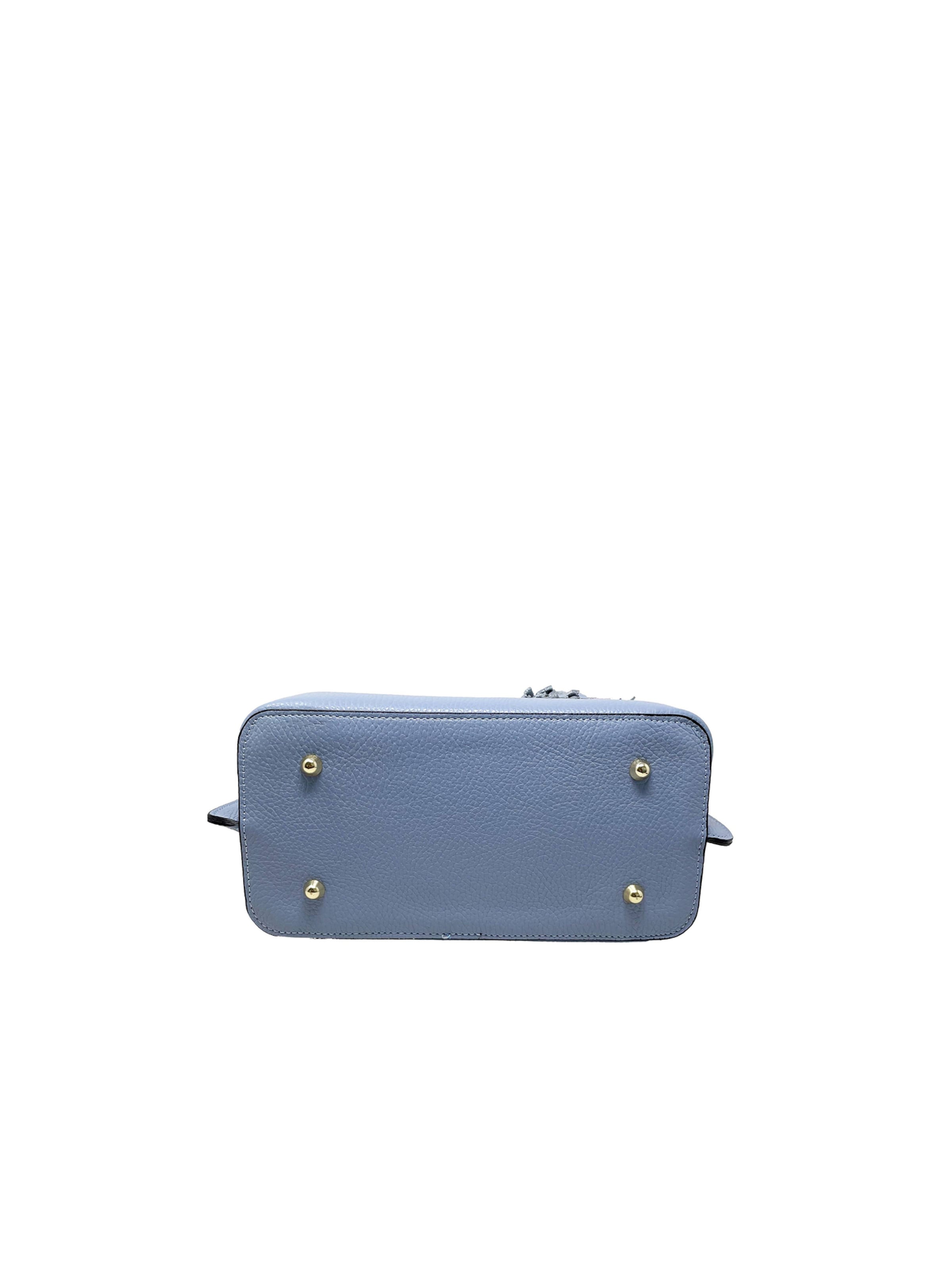 CHICCA BORSE Handbag in Blue