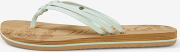 O'NEILL T-Bar Sandals 'Ditsy' in Blue: front