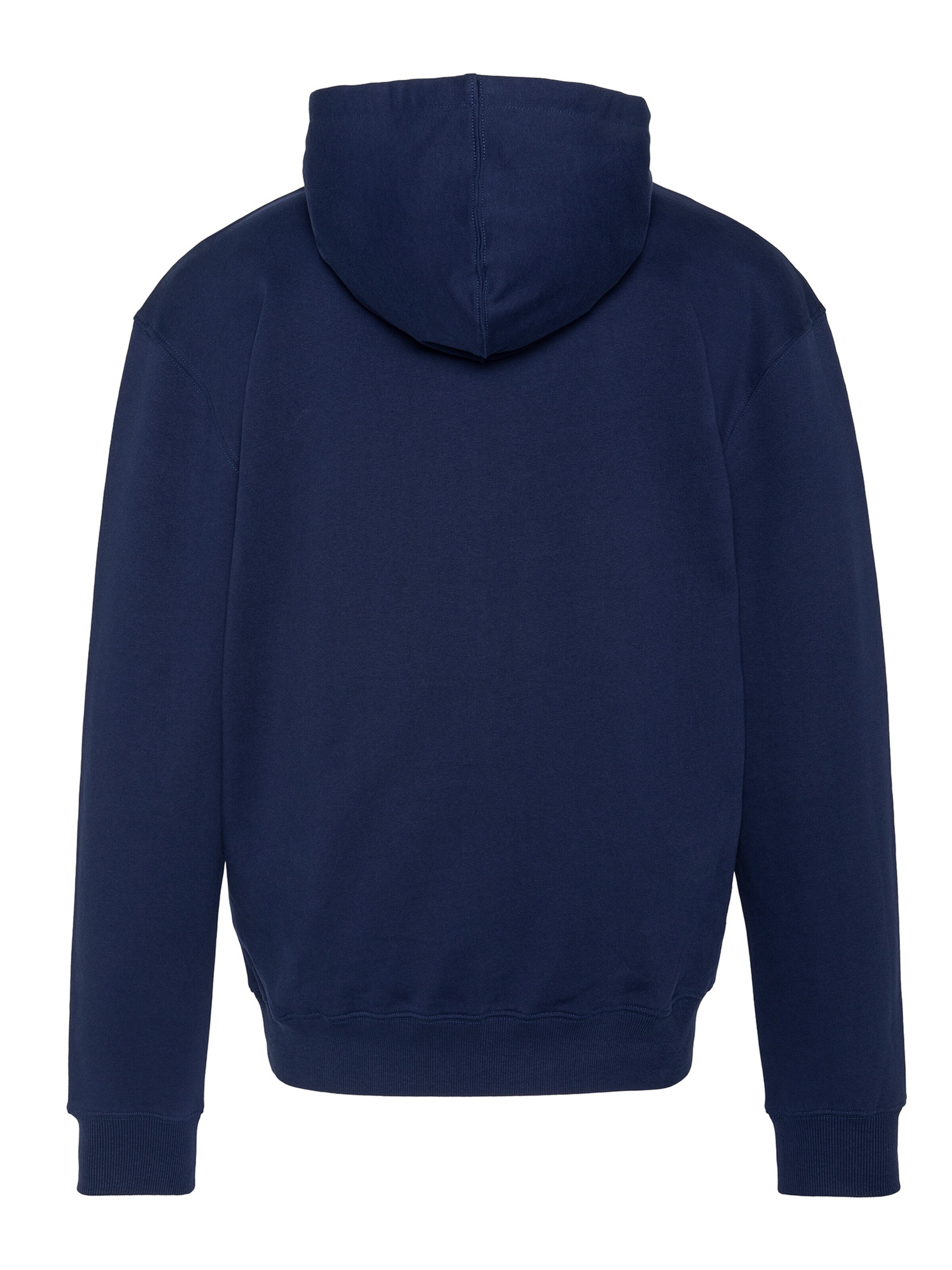 Schott NYC Sweatshirt in Blue