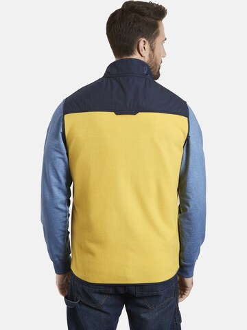 Jan Vanderstorm Vest in Yellow