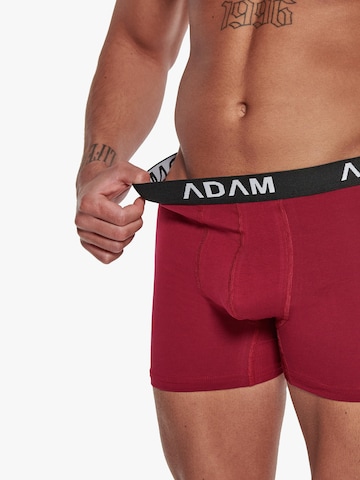 Adam Boxershorts '6er Pack'‌‌‌ in Rot