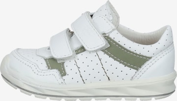 Pepino Sneakers in White