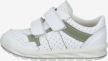 Pepino Sneakers in Wit