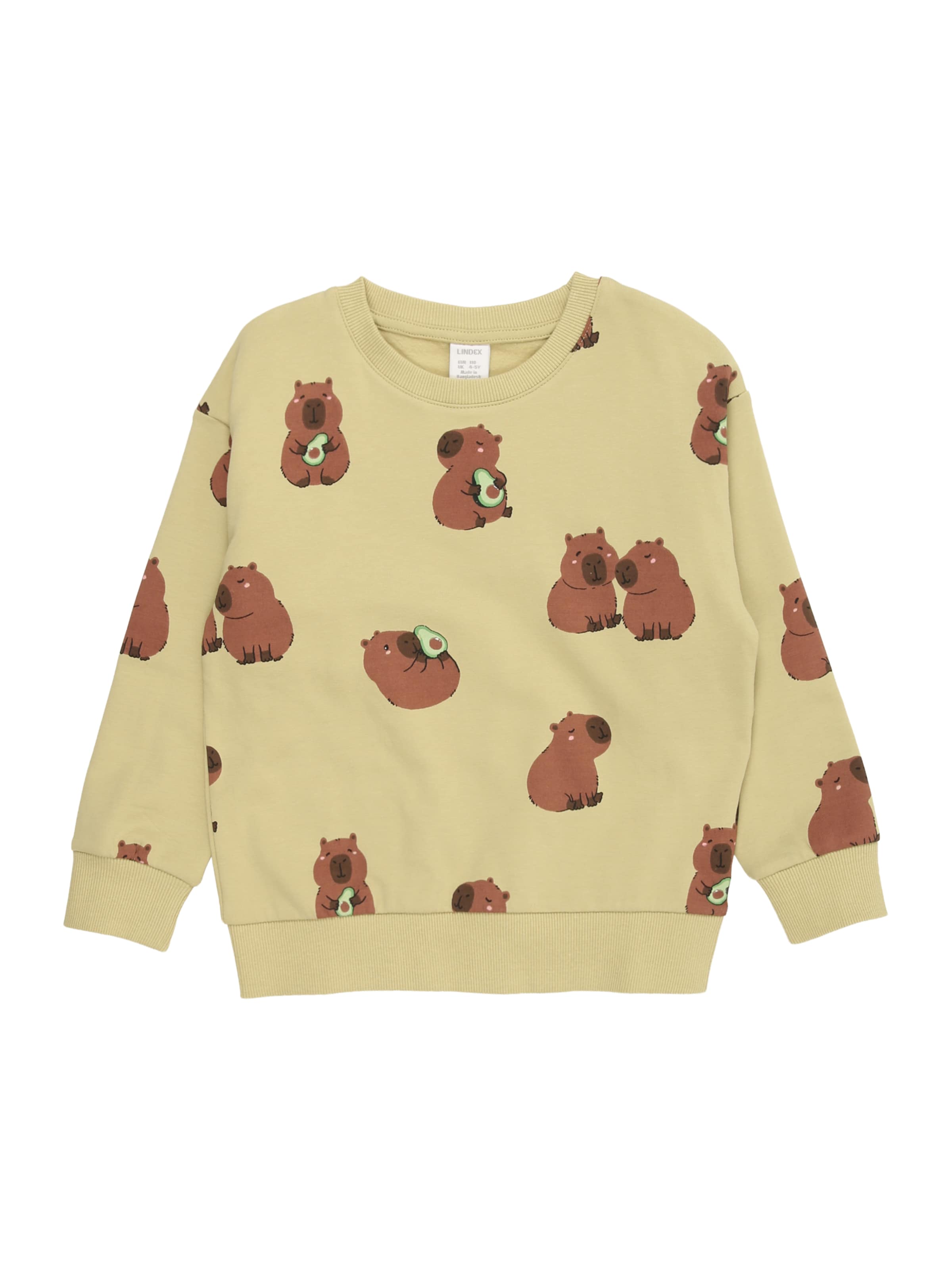 Lindex Mikina 'Capybara' - hnedá / tmavohnedá / jablková / svetlozelená, Produkt