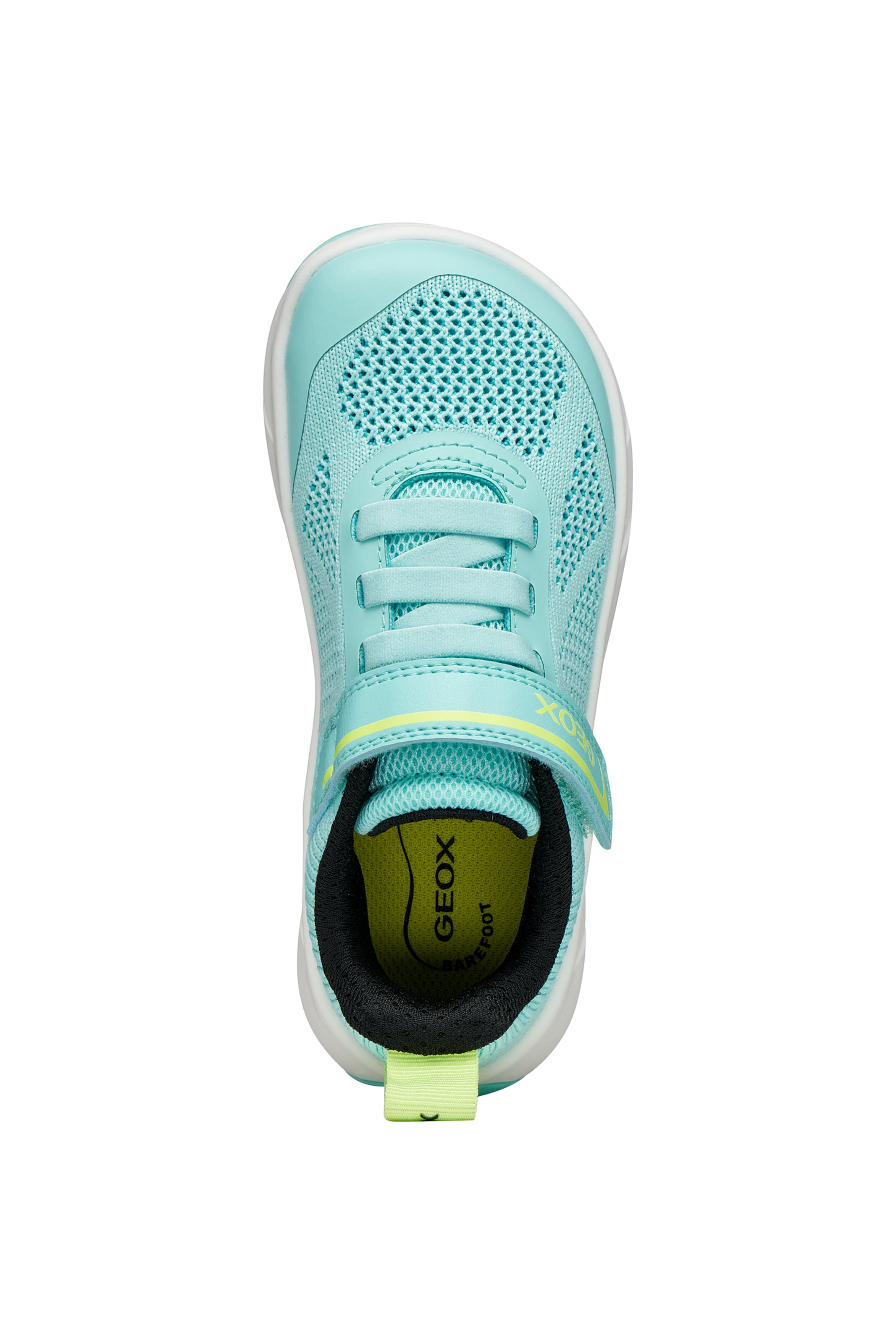 GEOX Sneakers in Blue