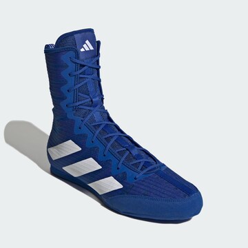 Scarpa sportiva 'Box Hog 4' di ADIDAS PERFORMANCE in blu