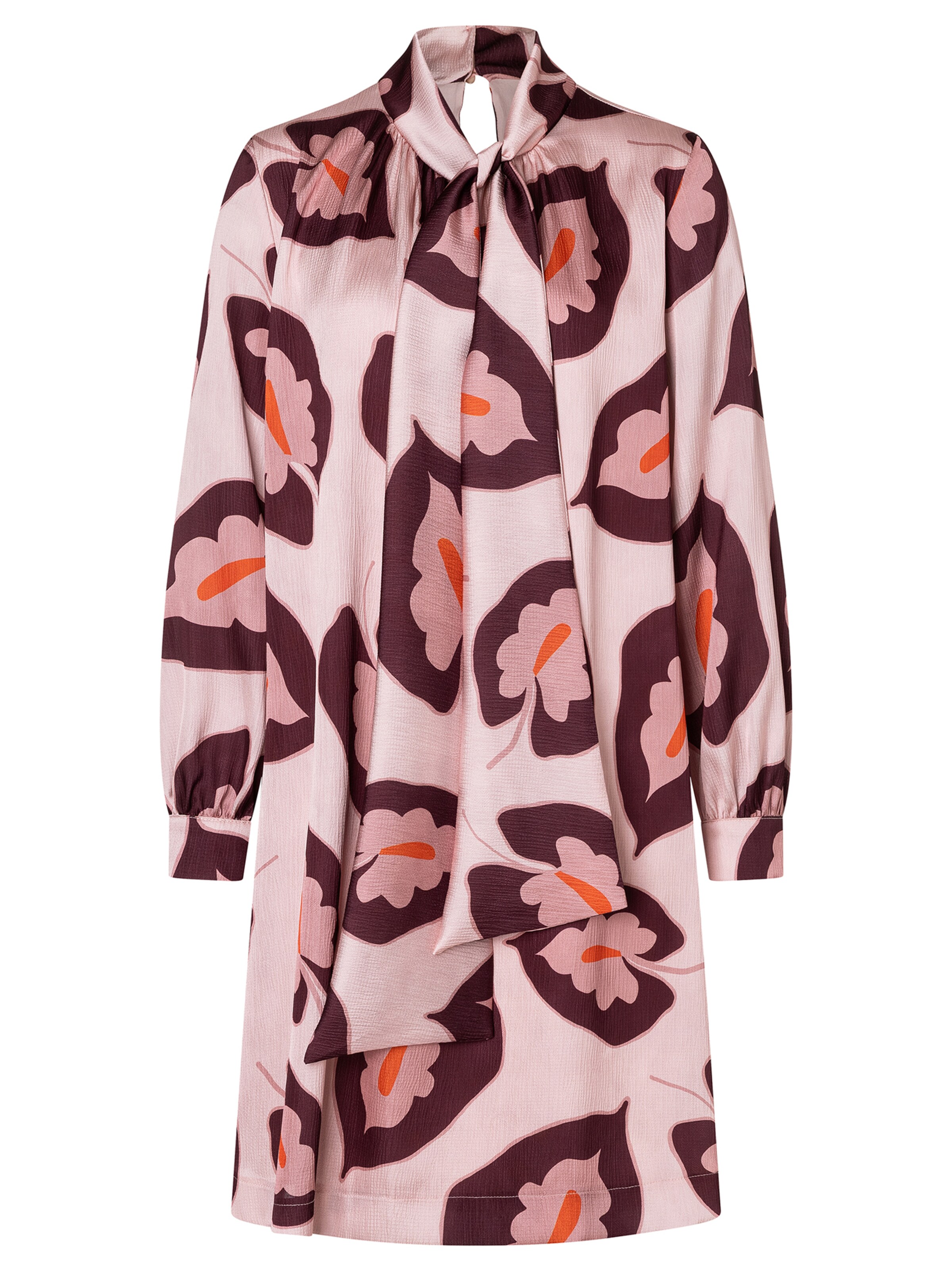 Ana Alcazar Robe 'Awani' en rose / bordeaux, Vue avec produit