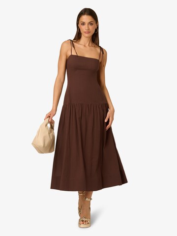 Adrianna Papell Kleid in Braun