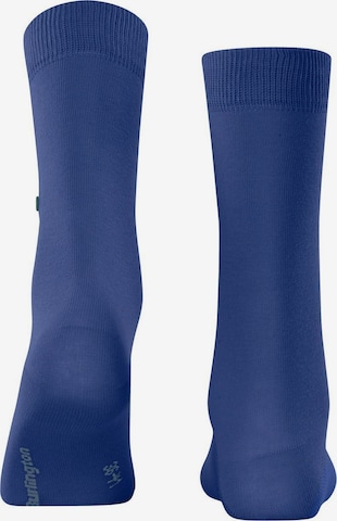 BURLINGTON Socks in Blue