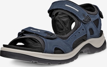 Sandales de randonnée 'Offroad' ECCO en bleu : devant