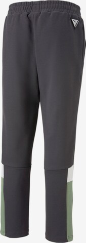 PUMA Regular Sports trousers 'Borussia Mönchengladbach' in Grey