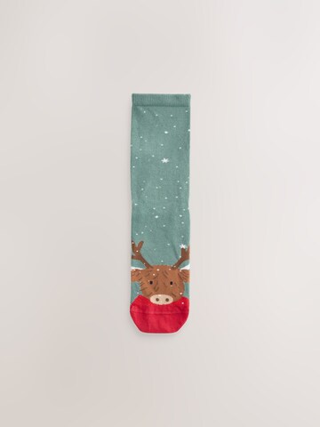 Next Nogavice | mešane barve barva