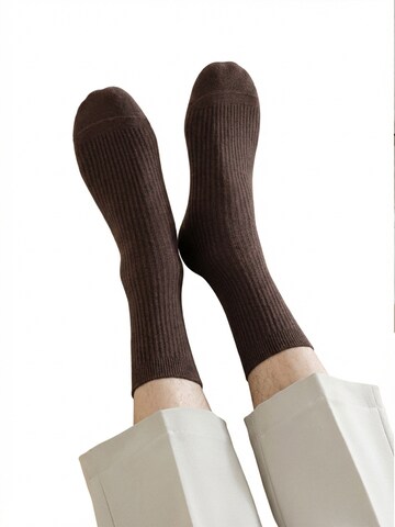 Millo Socks 'Cosy Steps' in Brown