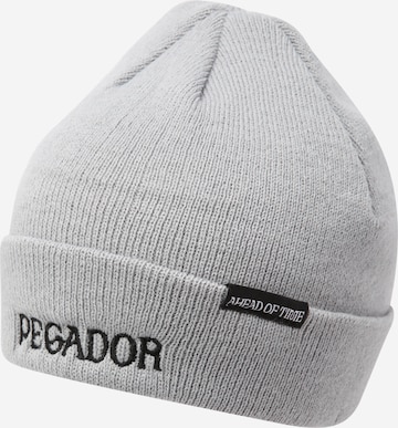 Pegador Beanie in Grey: front