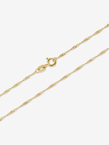 FAVS Kette in Gold