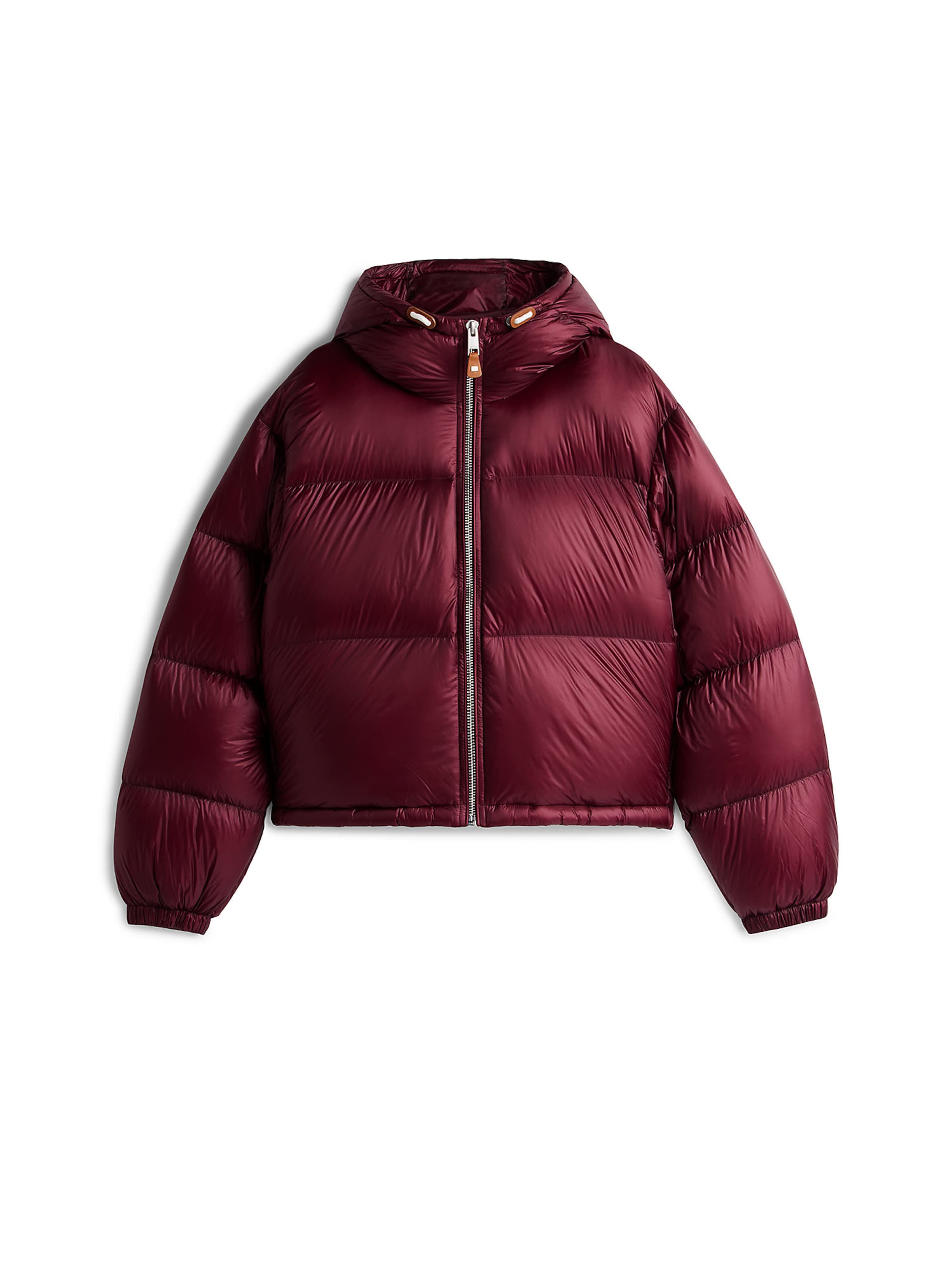 TOMMY HILFIGER Winterjas in Rood: voorkant