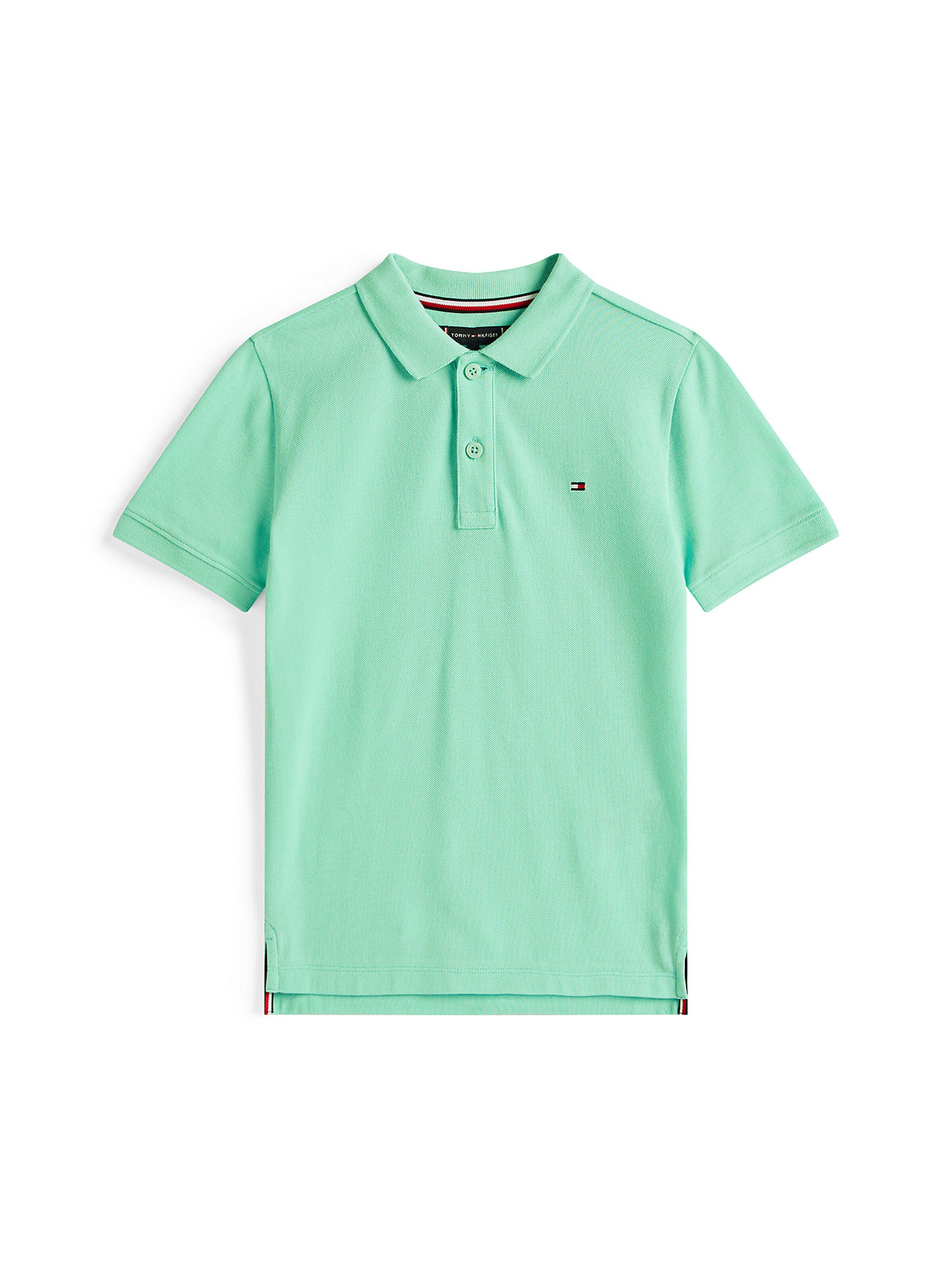 TOMMY HILFIGER Shirt 'Essentail' in Green: front