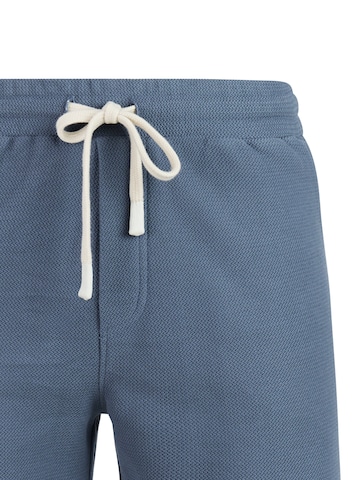 PROTEST Regular Hose 'PRTGraig'‌‌‌‌ in Blau