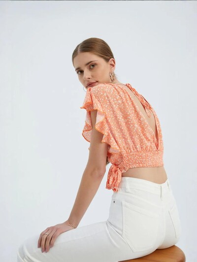 Hiccup Blusa em salmão / branco, Vista do artigo