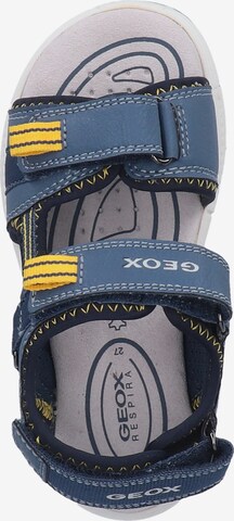 GEOX Sandals & Slippers 'Alben' in Blue