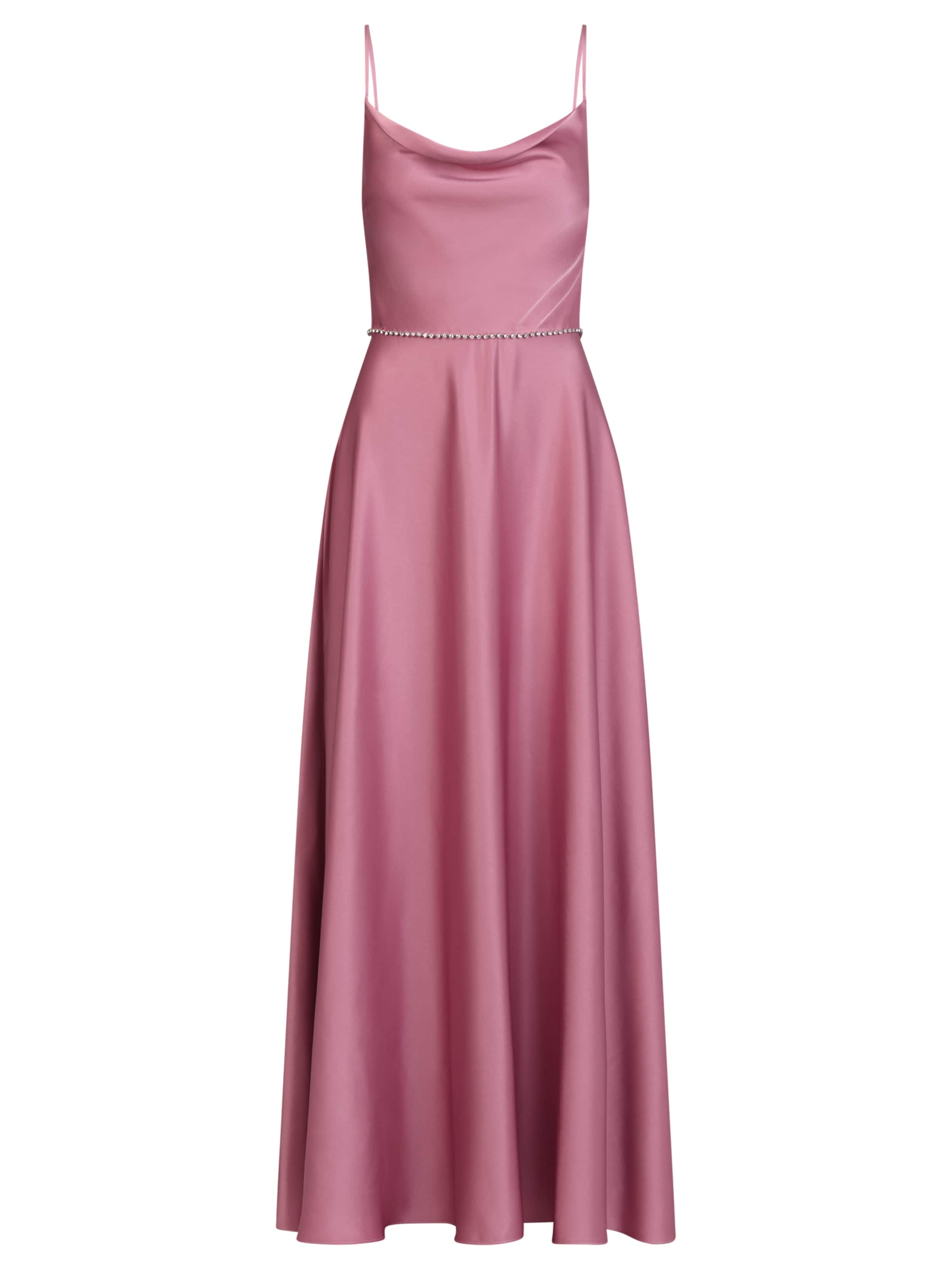 APART Večernja haljina u roza / prozirna, Pregled proizvoda