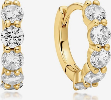 ANIA HAIE Earrings in Gold: front