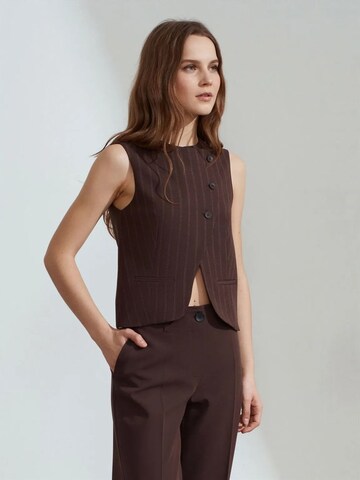 Dilvin Vest in Brown: front